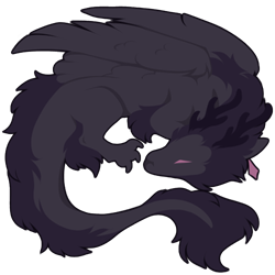 lizard